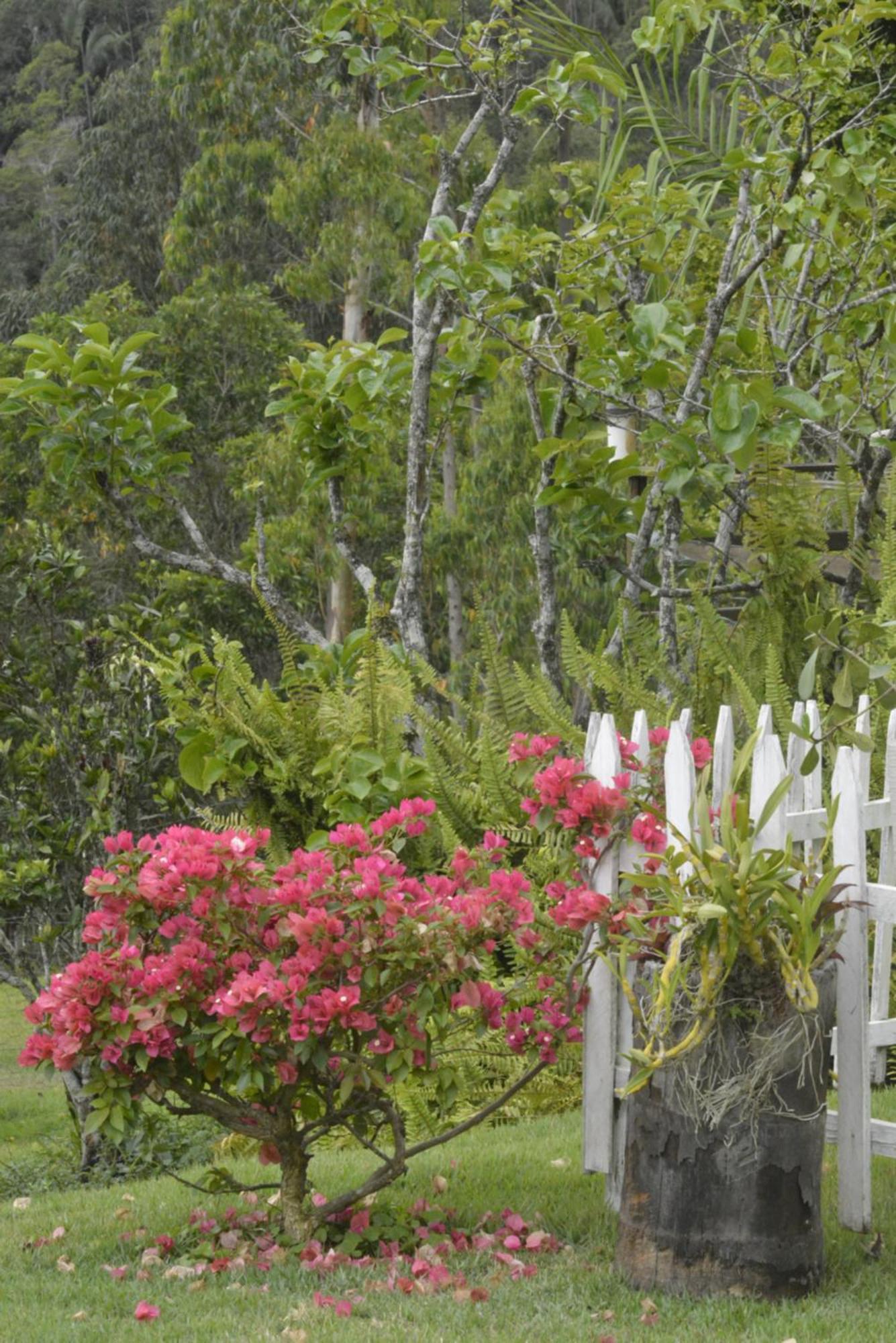 Sitio Juara Bed & Breakfast Santa Teresa  Exterior photo